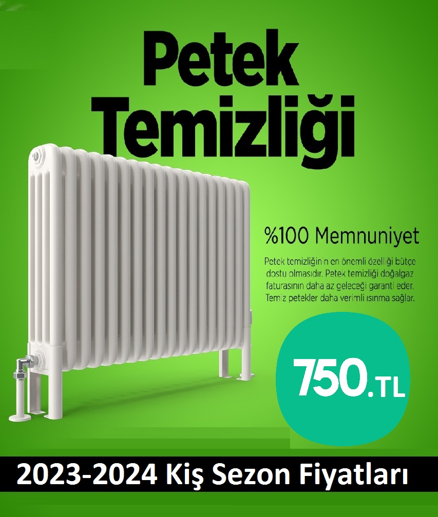 Tarabya Petek temizleme
